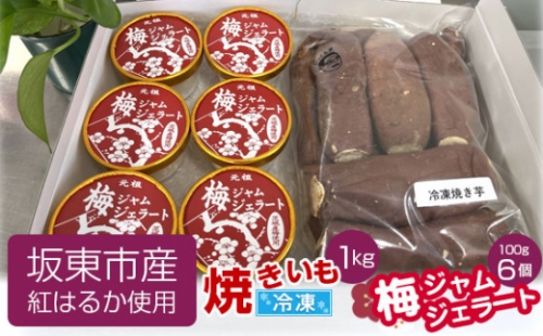 No.533 坂東市産 冷凍焼きいも(紅はるか)1kgと梅ジャムジェラート100g×6個 / さつまいも ねっとり ウメ アイス 茨城県 1169055 - 茨城県坂東市