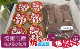 【ふるさと納税】No.533 坂東市産 冷凍焼きいも（紅はるか）1kgと梅ジャムジェラート100g×6個 ／ さつまいも ねっとり ウメ アイス 茨