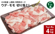 【1ヶ月毎4回定期便】大分県産上豚肉 「学問所ポーク」 ウデ・モモ 切り落とし 計4kg（1kg×4回）
