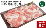 【1ヶ月毎8回定期便】大分県産上豚肉 「学問所ポーク」 ウデ・モモ 切り落とし 計8kg（1kg×8回）