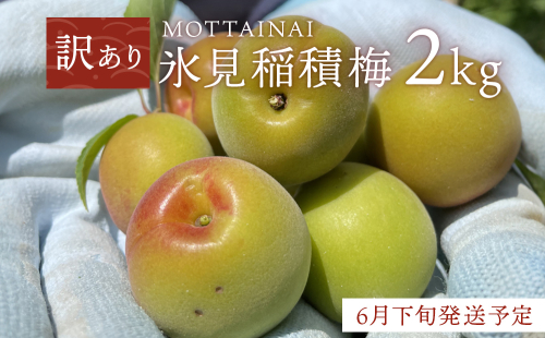 【訳あり】【先行予約】MOTTAINAI 氷見稲積梅 2kg ＜6月下旬発送予定＞ 富山県 氷見市 青梅 果物 訳アリ 1169742 - 富山県氷見市