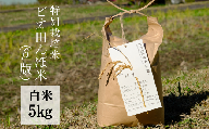 【特別栽培米】R5年産 ビオ田んぼ米(β版) コシヒカリ 白米5kg_A-af-ACZA
