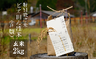 【特別栽培米】R5年産 ビオ田んぼ米(β版) コシヒカリ 玄米2kg_A-aa-ACZA