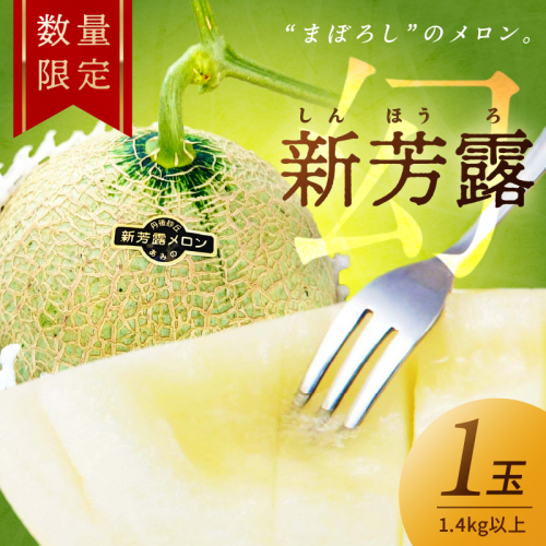【先行予約／数量限定15】新芳露メロン1玉(2026年7月中旬～発送)
 1170046 - 京都府京丹後市