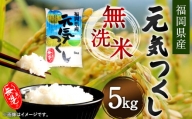 【令和5年産】福岡県産 元気つくし 無洗米 5kg お米 ご飯 米