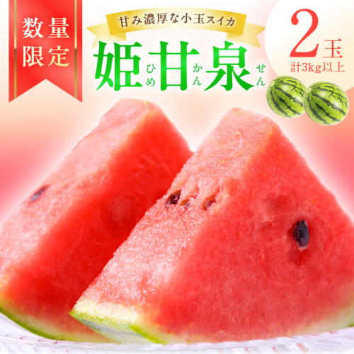 【先行予約／数量限定30】小玉スイカ　姫甘泉2玉(2026年7月中旬～発送) 1170142 - 京都府京丹後市