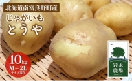 北海道 南富良野町 じゃがいも「とうや」10kg(M～2Lサイズ混合) じゃがいも ジャガイモ とうや 野菜 やさい