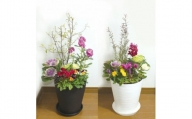 C032 季節の花の寄せ植え　８号鉢　選べる鉢色　室内園芸装飾マイスター岡部太郎氏監修