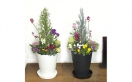 C012 季節の花の寄せ植え　１０号鉢　選べる鉢色　室内園芸装飾マイスター岡部太郎氏監修