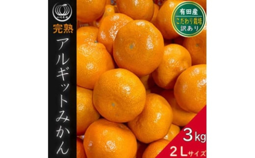 完熟 アルギット みかん 3kg 2L サイズ 訳あり | 年内発送 可 先行予約 みかん 有田みかん 甘い おいしい ジューシー 皮 薄い 完熟 期間限定 フルーツ 果物 人気 おすすめ 高級 こだわり ギフト 旬 お取り寄せ 送料無料 和歌山 1172003 - 和歌山県有田川町