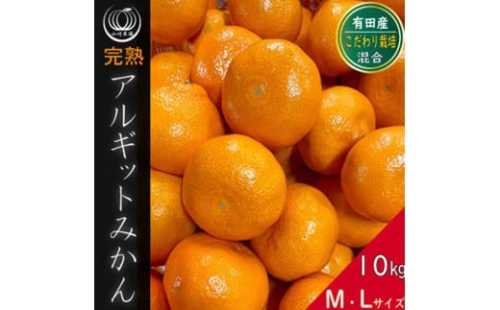 完熟 アルギット みかん 10kg M ～ Lサイズ | 年内発送 可 先行予約 みかん 有田みかん 甘い おいしい ジューシー 皮 薄い 完熟 期間限定 フルーツ 果物 人気 おすすめ 高級 こだわり ギフト 旬 お取り寄せ 送料無料 和歌山  1172007 - 和歌山県有田川町