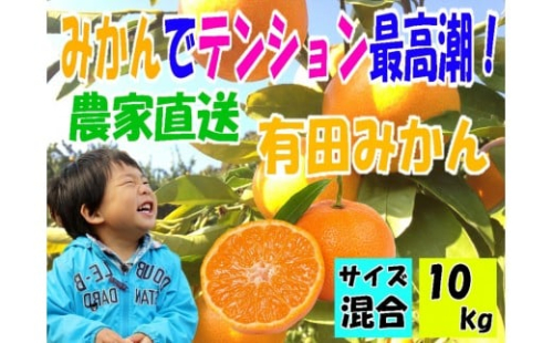 有田みかん10キロ　サイズ混合 1172014 - 和歌山県有田川町