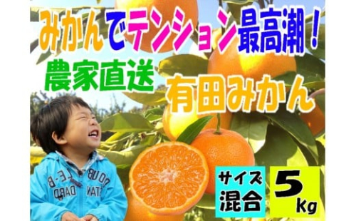 有田みかん5キロ　サイズ混合 1172029 - 和歌山県有田川町