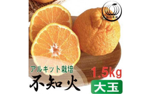 アルギット 不知火 約1.5kg 大玉 サイズ（5～6玉）| 先行予約 不知火 デコ みかん 甘い おいしい ジューシー 完熟 期間限定 数量限定 フルーツ 果物 柑橘 人気 おすすめ 高級 こだわり ギフト 旬 お取り寄せ 送料無料 和歌山 有田川町 1172103 - 和歌山県有田川町