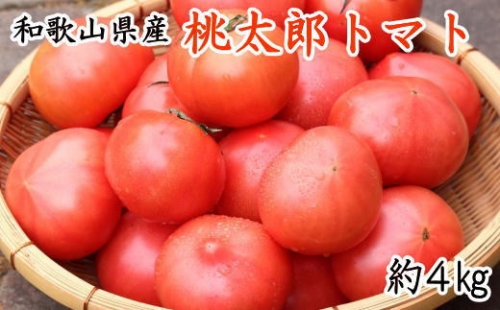 【新鮮】和歌山県産桃太郎トマト約4kg(L～2Lサイズおまかせ)  1172252 - 和歌山県新宮市