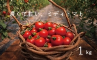 【2024年産予約受付】 フルーツトマト 1kg のんの畑北海道 ミディトマト 数量限定