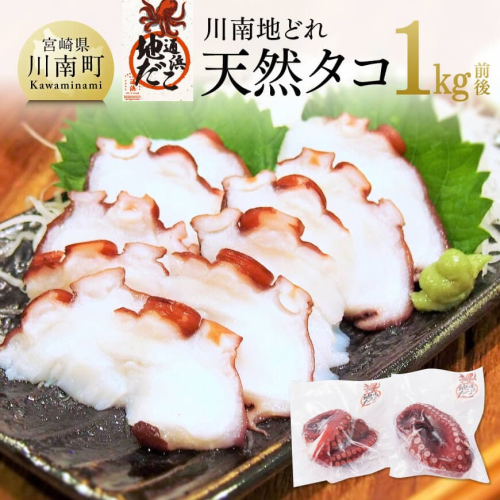漁協直送!天然タコ(湯がき済)小分けで1kg前後 【 たこ 蛸 海産物 日向灘 地どれ 】 117243 - 宮崎県川南町
