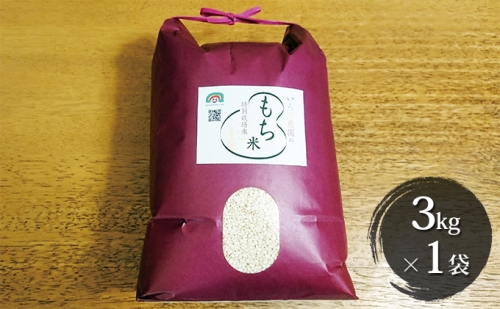 特別栽培米　日進市産もち米　3kg×1袋 117245 - 愛知県日進市