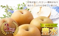 《2024年秋出荷》味が濃い梨 豊水3kg （6～9玉） F23R-632