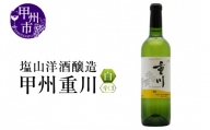 塩山洋酒醸造の白ワイン『甲州重川』（RC）B-641