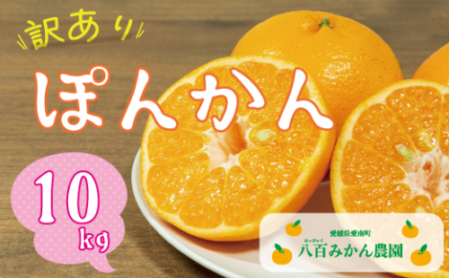 【先行予約】訳あり ぽんかん 10kg <発送期間：2027年1月下旬～無くなり次第終了> 八百みかん農園 の ぽんかん 10000円 家庭用 10kg 先行 事前 予約 受付 みかん 不知火 はるみ 防腐剤不使用 愛媛 産地直送 国産 農家直送 糖度 甘味 果樹園 期間限定 数量限定 特産品 ジュース 人気 限定 愛南  新鮮 果実 さわやか 風味 甘い フルーツ 果物 柑橘 蜜柑 1173580 - 愛媛県愛南町