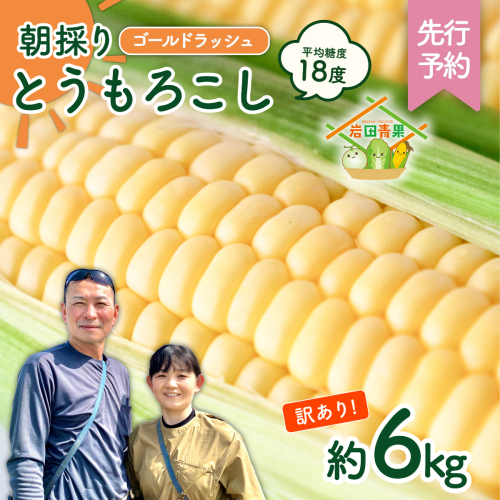 【先行予約 2026年6月中旬以降発送 】 【 令和8年産 】 【 訳あり 】 朝採り とうもろこし （ ゴールドラッシュ ） 約 6kg トウモロコシ スイートコーン コーン 野菜 産地直送 期間限定 岩田さん 昼めし旅 [AX021ya] 1173658 - 茨城県八千代町