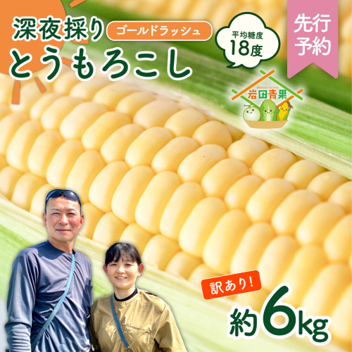 【先行予約 2026年6月中旬以降発送 】 【 令和8年産 】 【 訳あり 】 深夜採り 朝出荷 とうもろこし （ ゴールドラッシュ ） 約 6kg トウモロコシ スイートコーン コーン 野菜 産地直送 期間限定 岩田さん 昼めし旅 [AX021ya] 1173658 - 茨城県八千代町