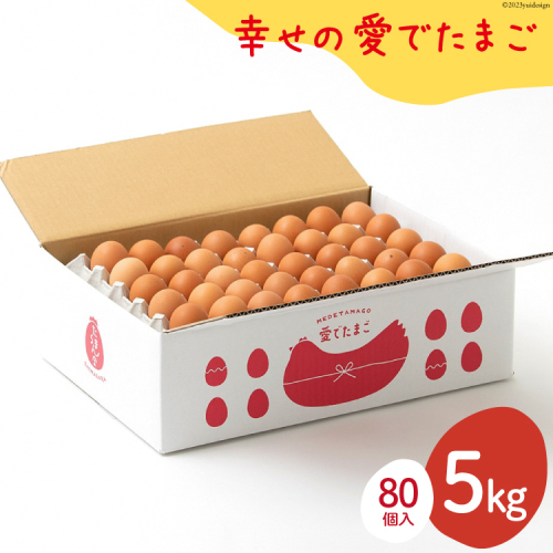 AH104 【業務用】幸せの愛でたまご 5kg　【 島原市 業務用 直送 卵破損補償 】 1174006 - 長崎県島原市
