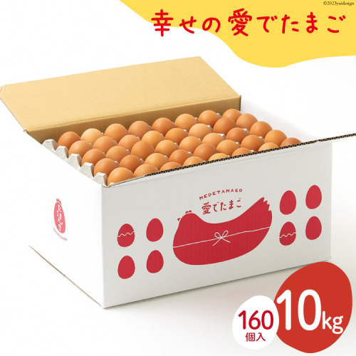 AH105 【業務用】幸せの愛でたまご 10kg　【 島原市 業務用 直送 卵破損補償 】 1174007 - 長崎県島原市