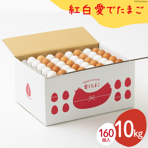 AH103 【業務用】紅白愛でたまご 10kg　【 島原市 業務用 直送 卵破損補償 】 1174159 - 長崎県島原市
