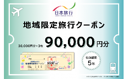 【ふるさと納税】日本旅行地域限定旅行クーポン 90,000円分