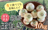 [2025年発送 先行予約]甘すぎる新鮮玉ねぎ 10kg(2025年5月18日〜6月10日 出荷) 減農薬減 化学肥料 生食 たまねぎ 玉ねぎ タマネギ 野菜 食品 F20E-681