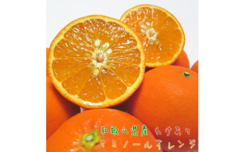 有田育ちの セミノールオレンジ (ご家庭用) 約7.5kg［先行予約・2027年4月～発送］［MS57］ 1175130 - 和歌山県那智勝浦町