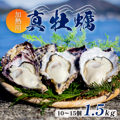 牡蠣 殻付き 1.5kg 前後 10個 ～ 15個 マガキ 加熱用 真牡蠣 詰合せ 海鮮 魚介 加熱 調理用 1175422 - 京都府舞鶴市