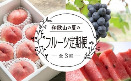 定期便全3回　和歌山の人気の夏のフルーツをお届け！ 1175429 - 和歌山県上富田町
