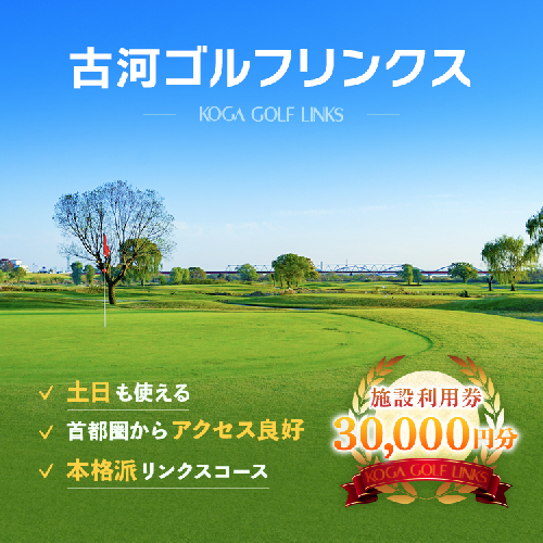 古河ゴルフリンクス 施設利用券 30,000円分（1,000円×30枚）｜ゴルフ ゴルフ場 ゴルフプレー券 ゴルフ利用券 利用券 プレー券 チケット クーポン 体験 関東 茨城県 古河市 古河 _DP19 1175669 - 茨城県古河市