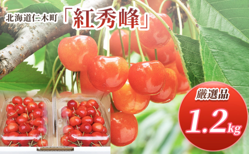 先行受付 北海道 仁木町産 さくらんぼ 紅秀峰 1.2kg (300g×4パック) L-Mサイズ 混合　旬 桜桃 産地直送 サクランボ チェリー フルーツ 果物 果物類  仁木町 仁木 [松山商店] 1176267 - 北海道仁木町