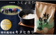 014N699 料理旅館きぐすりや　令和5年産 特別栽培米キヌヒカリ「きぐすりや米」5kg[高島屋選定品］