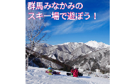 みなかみ町内スキー場 ふるさと納税共通1日リフト券（引換券）１枚