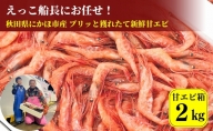 秋田県にかほ市産 プリッと獲れたて新鮮甘エビ箱2kg