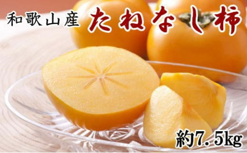 和歌山産たねなし柿（サイズおまかせ）約7.5kg・秀品★2026年10月頃より順次発送［TM10］ 1177256 - 和歌山県上富田町