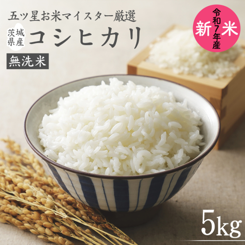 《 令和7年産 》 茨城県産 無洗米 コシヒカリ ( 5kg × 1袋 )  期間限定 こしひかり 米 コメ こめ 五ツ星 高品質 白米 精米 時短 単一米 1177321 - 茨城県牛久市