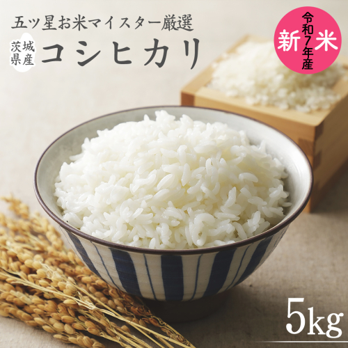 《 令和7年産 》 茨城県産 コシヒカリ 5kg ( 5kg × 1袋 ) 期間限定 こしひかり 米 コメ こめ 五ツ星 高品質 白米 精米 時短 単一米 1177417 - 茨城県牛久市