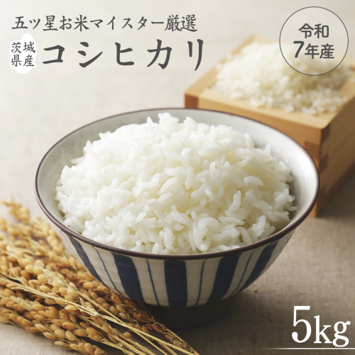 《 令和7年産 》 茨城県産 コシヒカリ 5kg ( 5kg × 1袋 ) 期間限定 こしひかり 米 コメ こめ 五ツ星 高品質 白米 精米 時短 単一米 1177417 - 茨城県牛久市