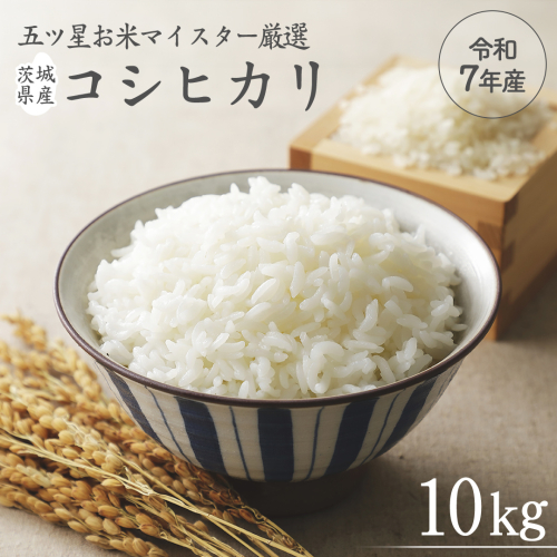 《 令和7年産 》 茨城県産 コシヒカリ 10kg ( 5kg × 2袋 ) 期間限定 こしひかり 米 コメ こめ 五ツ星 高品質 白米 精米 時短 単一米 1177444 - 茨城県牛久市