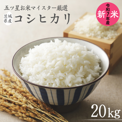 《 令和7年産 》 茨城県産 コシヒカリ 20kg ( 5kg × 4袋 ) 期間限定 こしひかり 米 コメ こめ 五ツ星 高品質 白米 精米 時短 単一米 1177607 - 茨城県牛久市