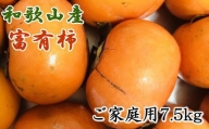 和歌山産富有柿ご家庭用約7.5kg★2024年11月上旬頃より順次発送