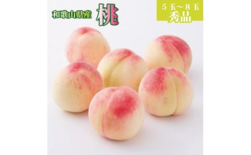 和歌山県産 桃 5玉～8玉 約2kg 秀品［US36］ 1177727 - 和歌山県那智勝浦町