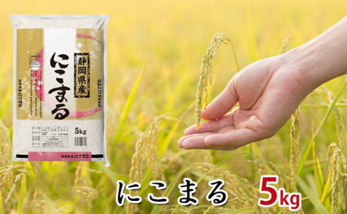 【令和3年産】静岡県産米『にこまる』精米5kg 米/にこまる  117803 - 静岡県浜松市