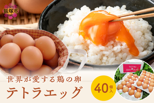 テトラエッグ40個入【A5-459】 1178124 - 福岡県飯塚市